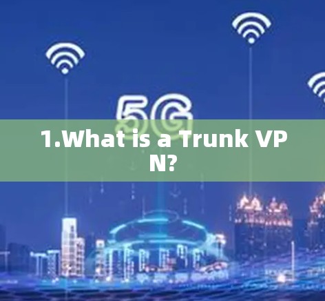 1.What is a Trunk VPN? 1.What is a Trunk VPN?
