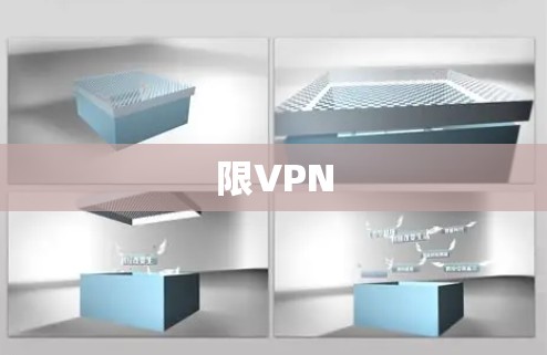 限VPN